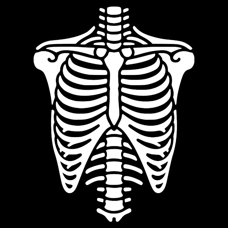 Cage thoracique, squelette, thorax et côtes, os