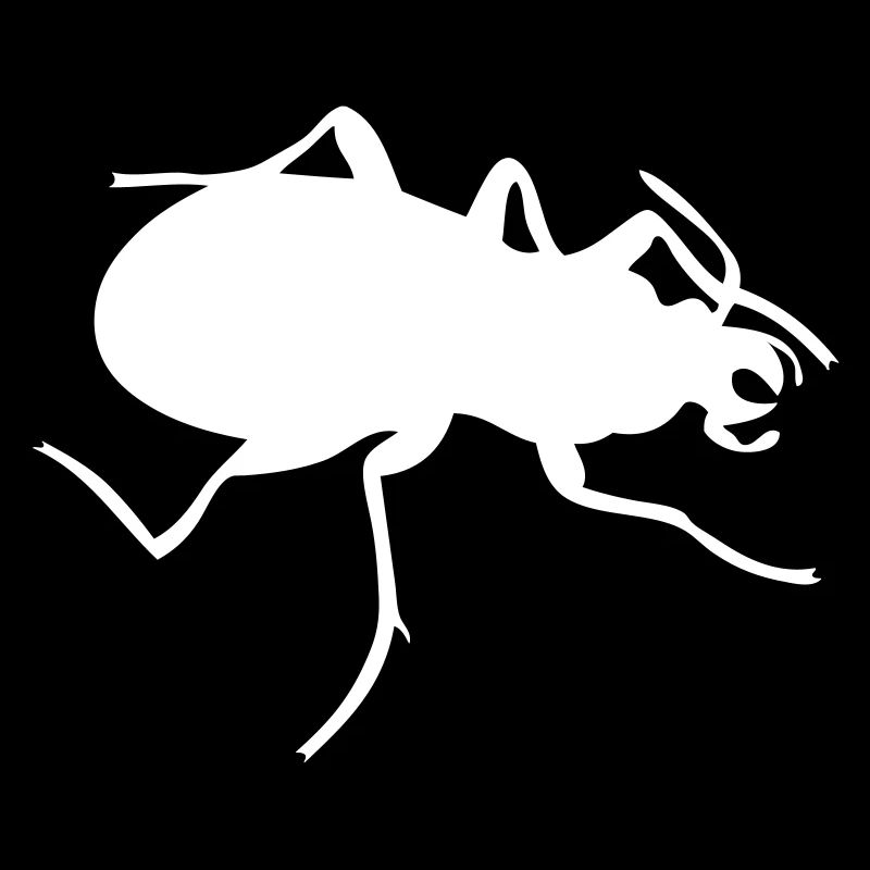 Bug