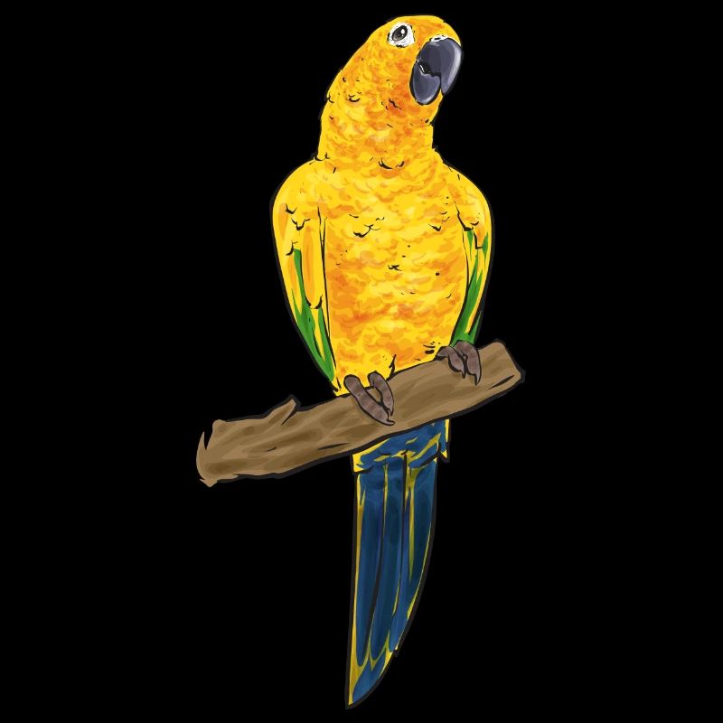 Perruche, Perroquet, Perruche, Oiseau