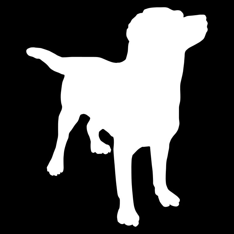 Chien Labrador