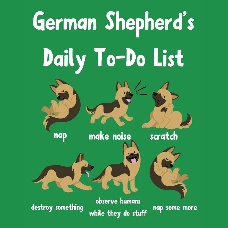 German shepherd