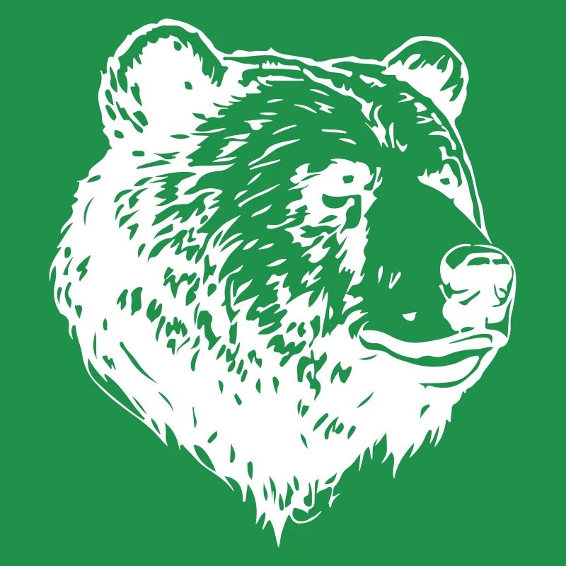 Bear Grizzly Head