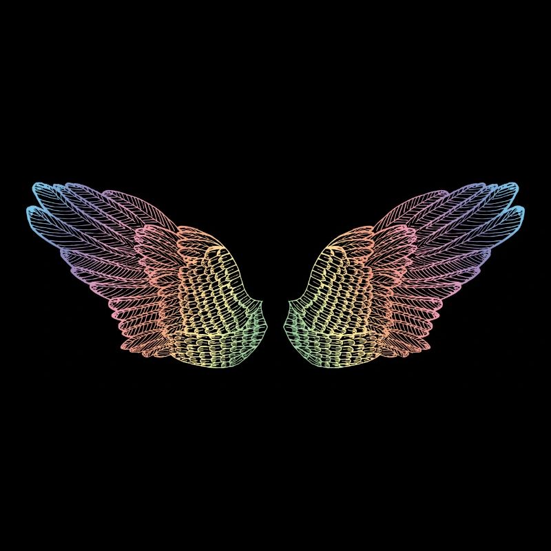 rainbow wings flight mode