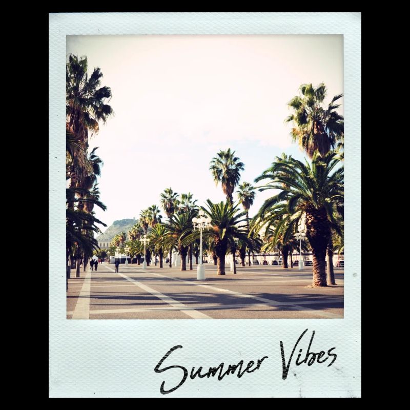 Palmiers de Barcelone