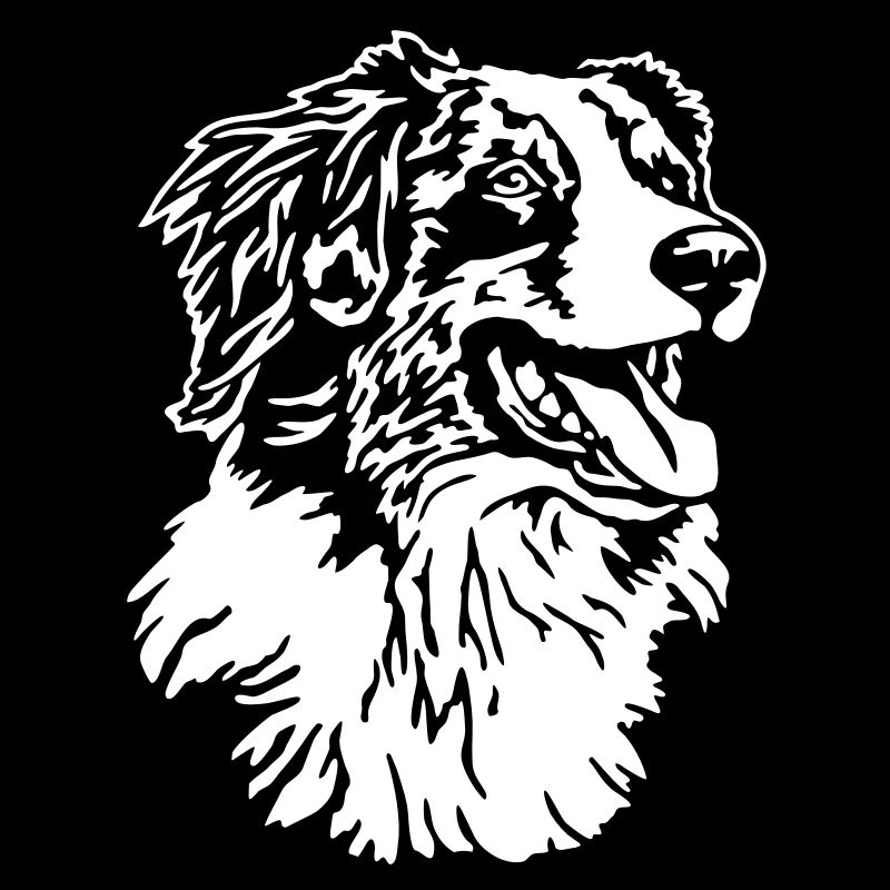 419 Australian Shepherd