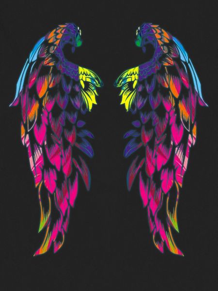 coloured wings