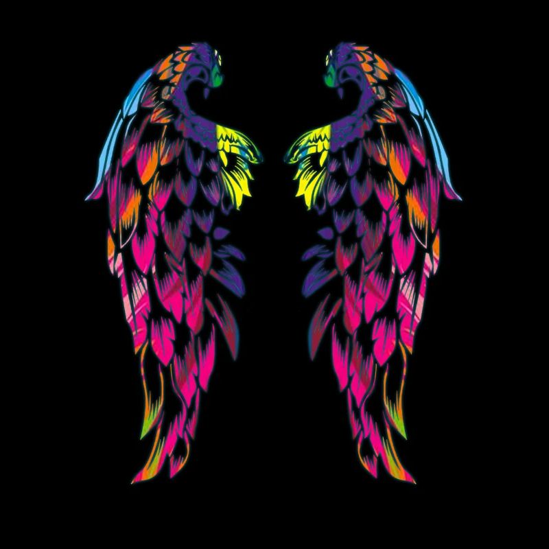 des ailes couleur