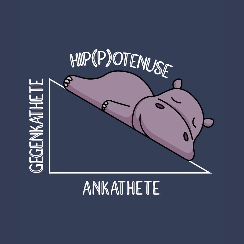 Algebra Math Student Math Teacher Hippotenuse