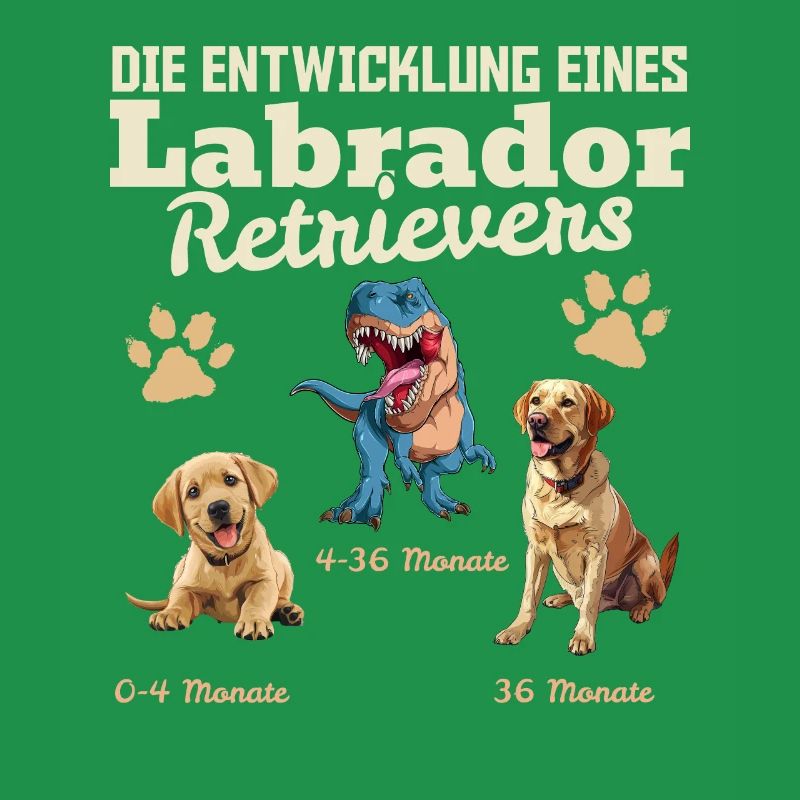 Hundebesitzer DIE EVOLUTION EINES LABRADOR