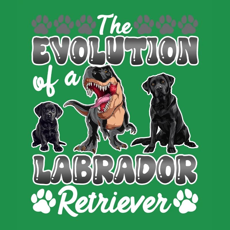 Hundebesitzer DIE EVOLUTION EINES LABRADOR