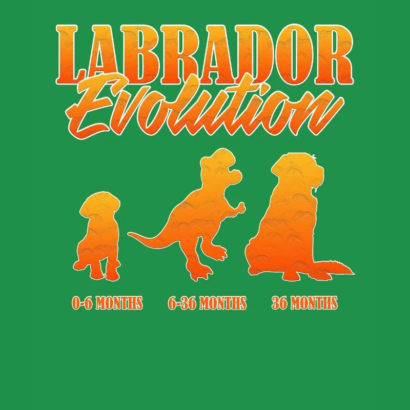 LABRADOR EVOLUTION Labrador Owner Funny