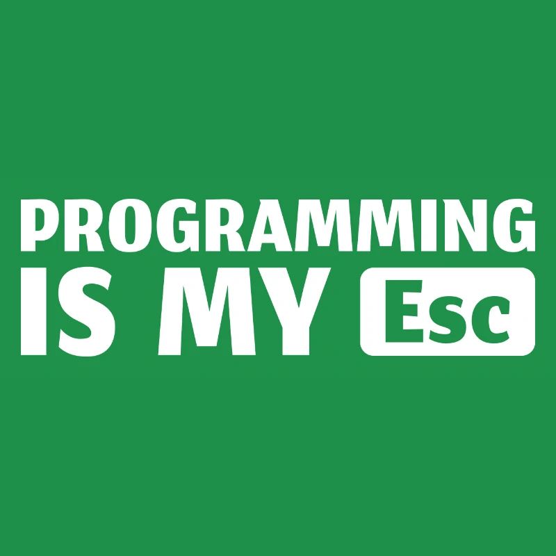 Informatik IT Programmierer