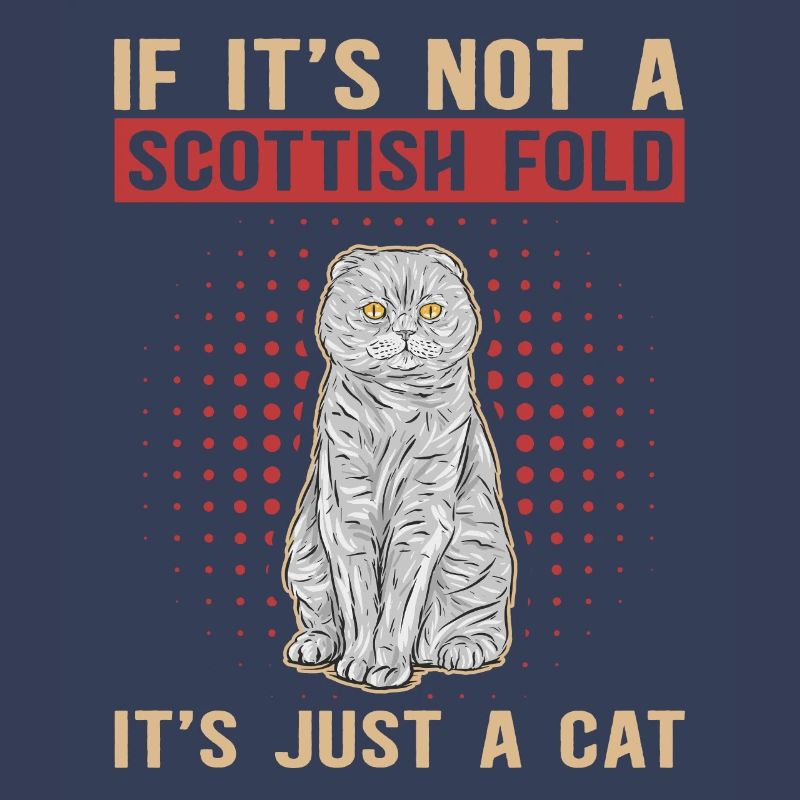 Scottish Folding Ear Cat Scottish Fold Gift