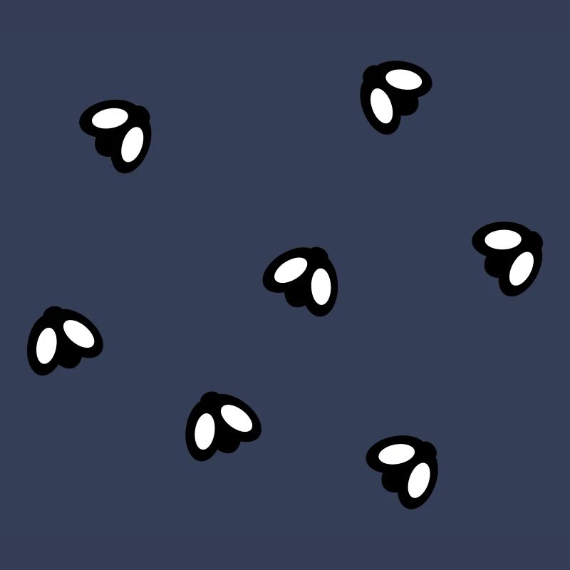 Fly