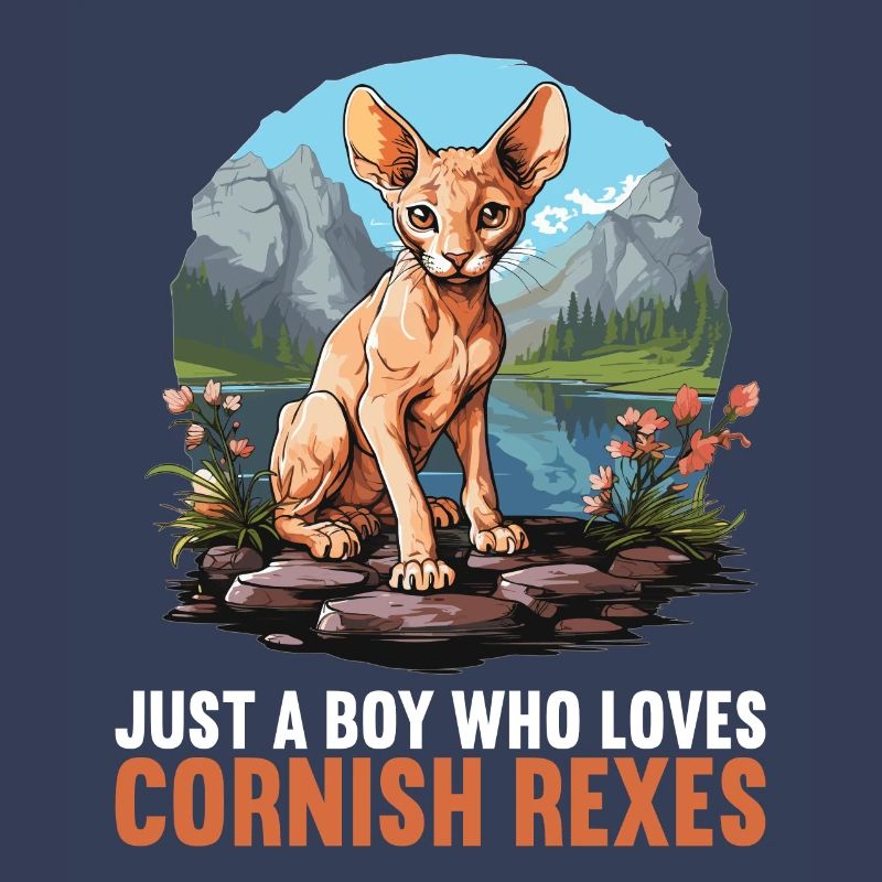 Cornish Rex Kätzchen Cornish Rex Katze