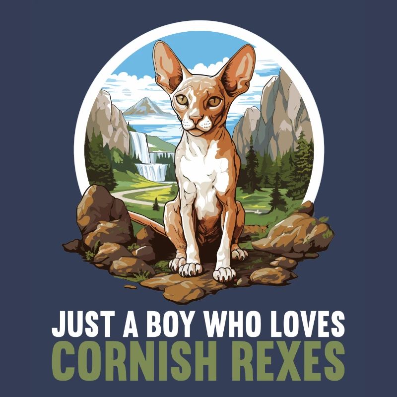 Cornish Rex Kätzchen Cornish Rex Katze