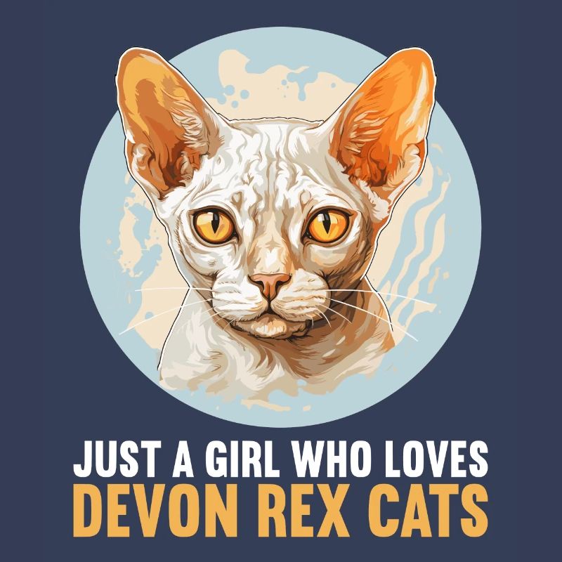 Chaton Devon Rex Chat Devon Rex