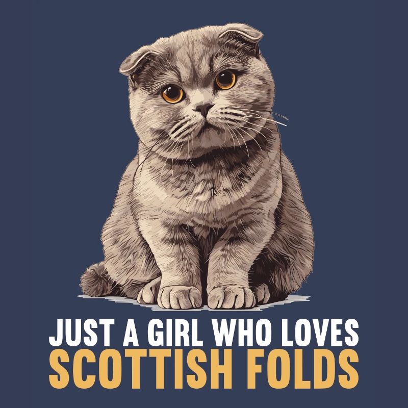 Scottish Fold Kätzchen Scottish Fold Katze