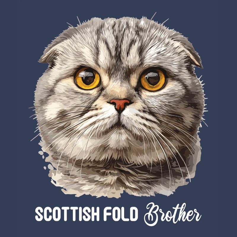 Scottish Fold Kätzchen Scottish Fold Katze