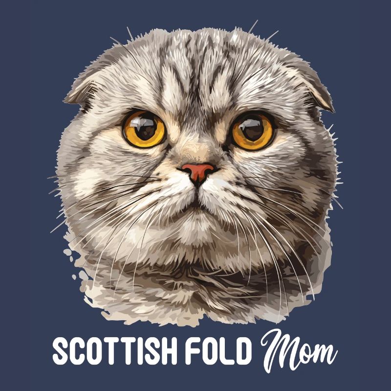 Scottish Fold Kätzchen Scottish Fold Katze