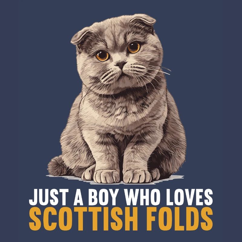 Scottish Fold Kätzchen Scottish Fold Katze