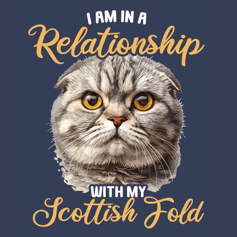Scottish Fold Kätzchen Scottish Fold Katze