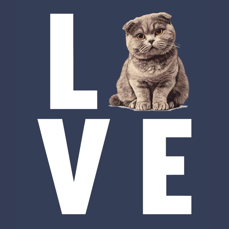 Scottish Fold Kätzchen Scottish Fold Katze