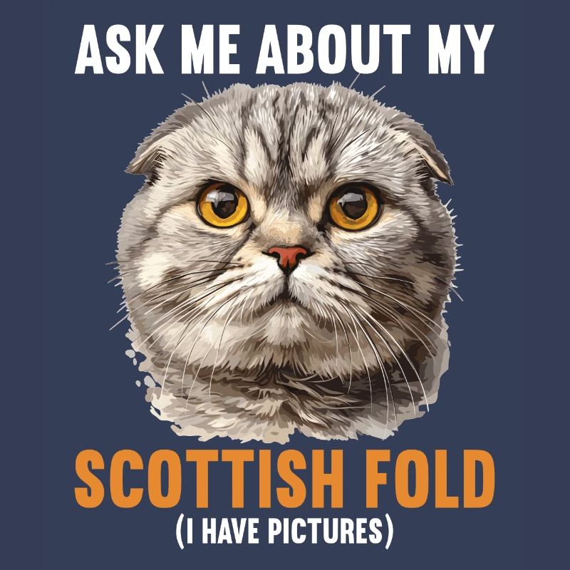 Scottish Fold Kätzchen Scottish Fold Katze