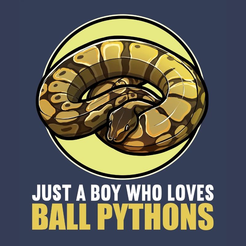 Ball Python Roi Python Roi Python