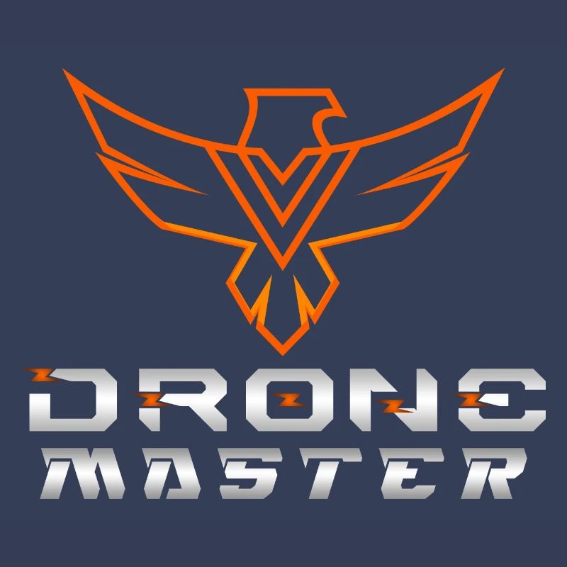 Drone Drones Drone Flight Drone Pilot