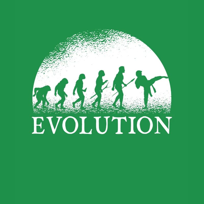 Karate Evolution