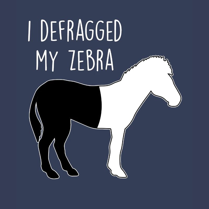 I defragged my Zebra Coder Informatiker Hacker
