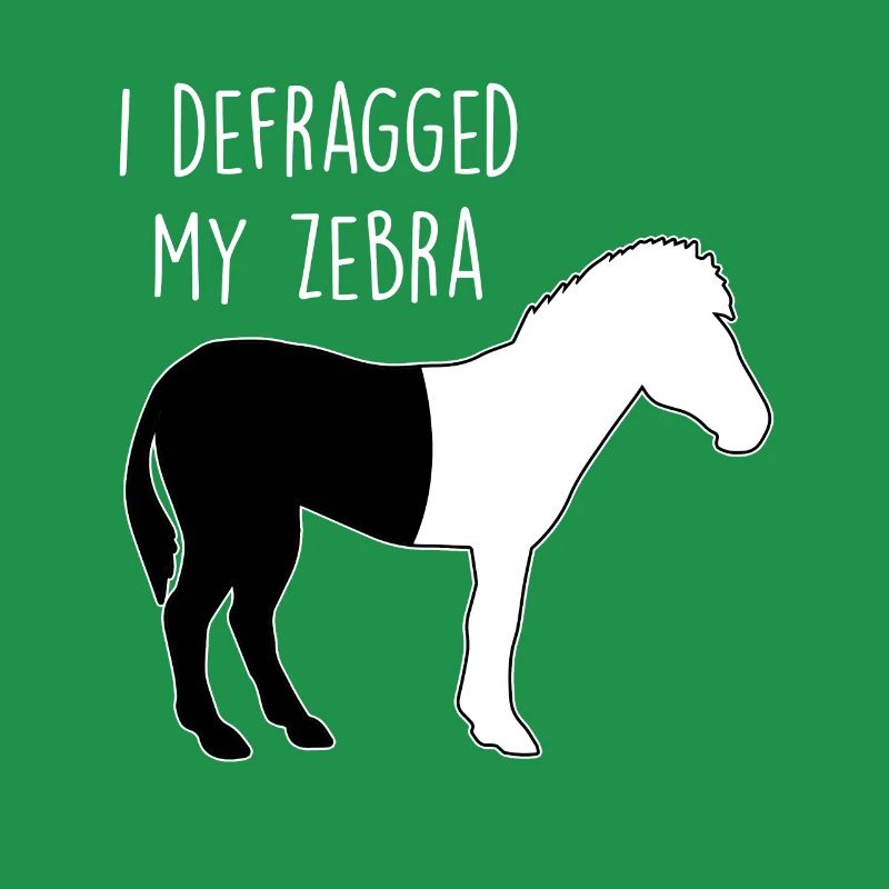 I defragged my Zebra Coder Informaticien Hacker