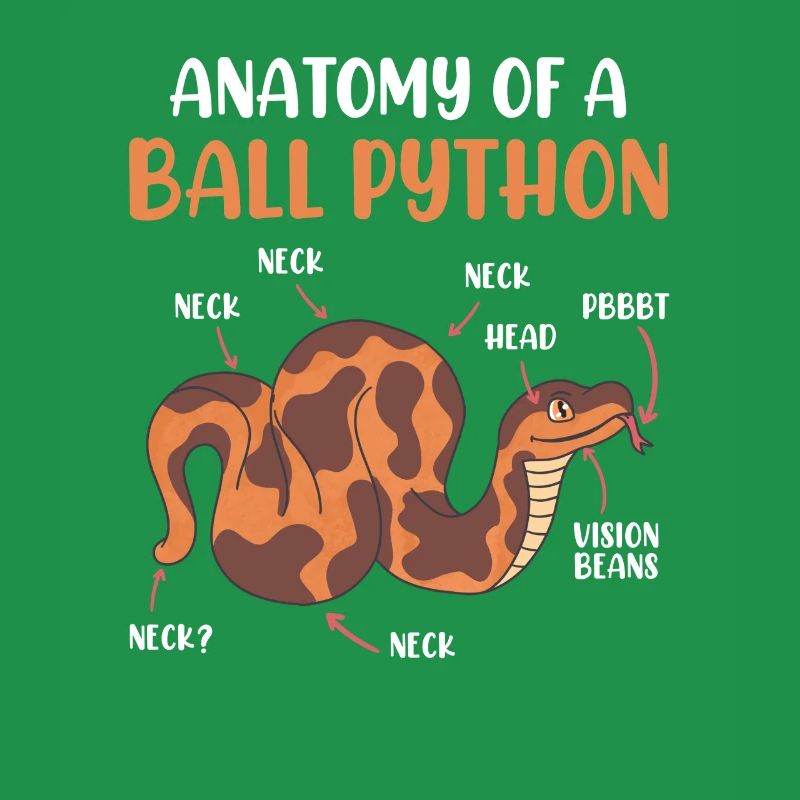 Snake Anotomy of a King Python Ball Python