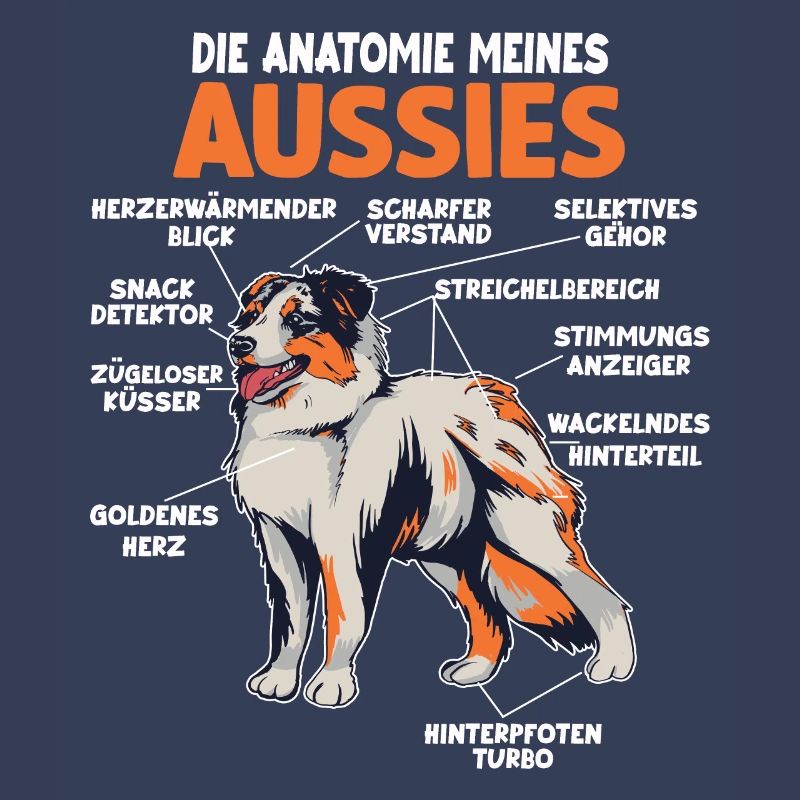 Australian Shepherd Aussie Anatomie Aussie