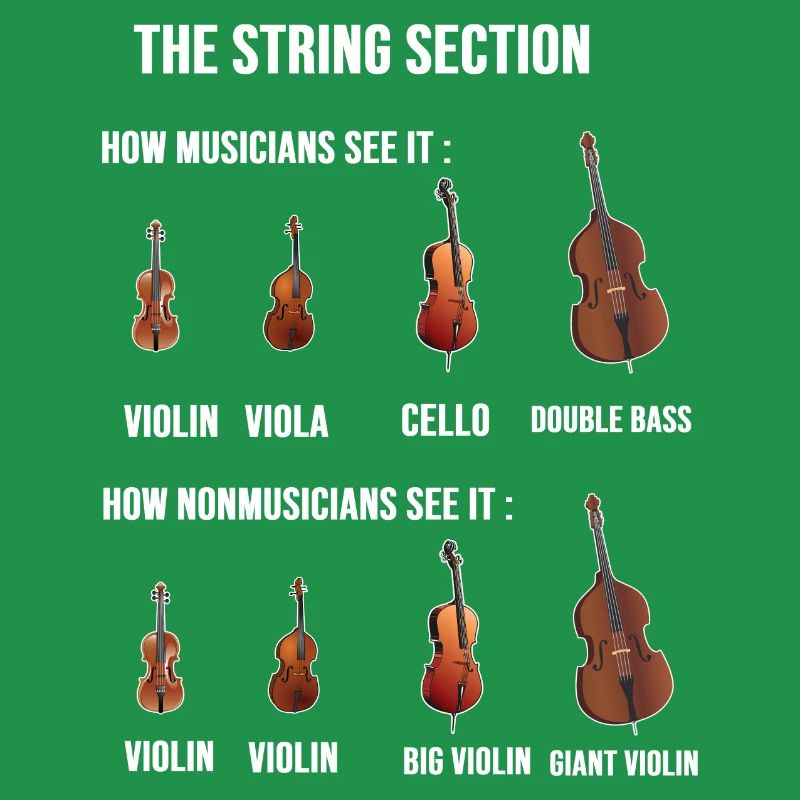 String Section City Conductor Gift