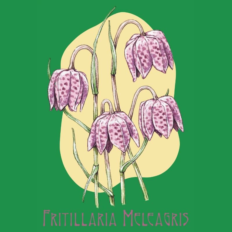 Cube checkerboard botanical drawing