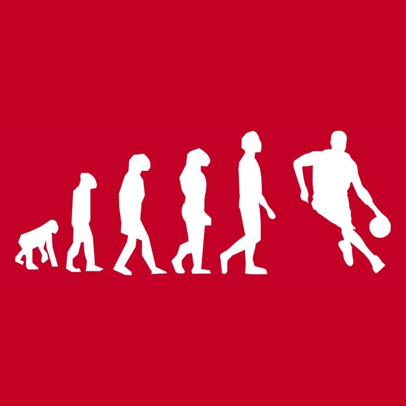 Basket évolution