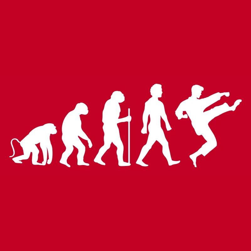 Karaté Évolution