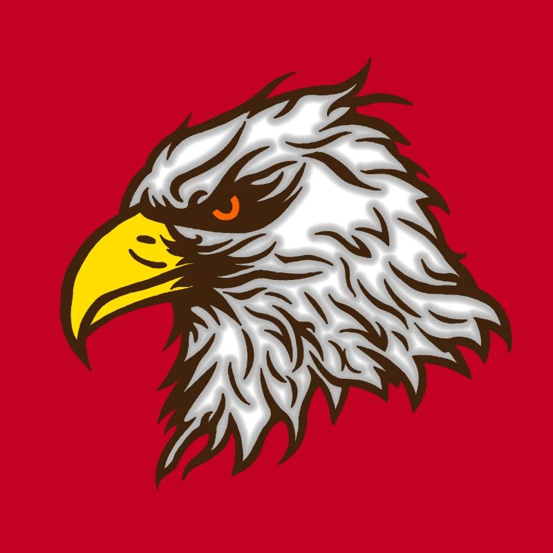 Cool bald eagle eagle colored