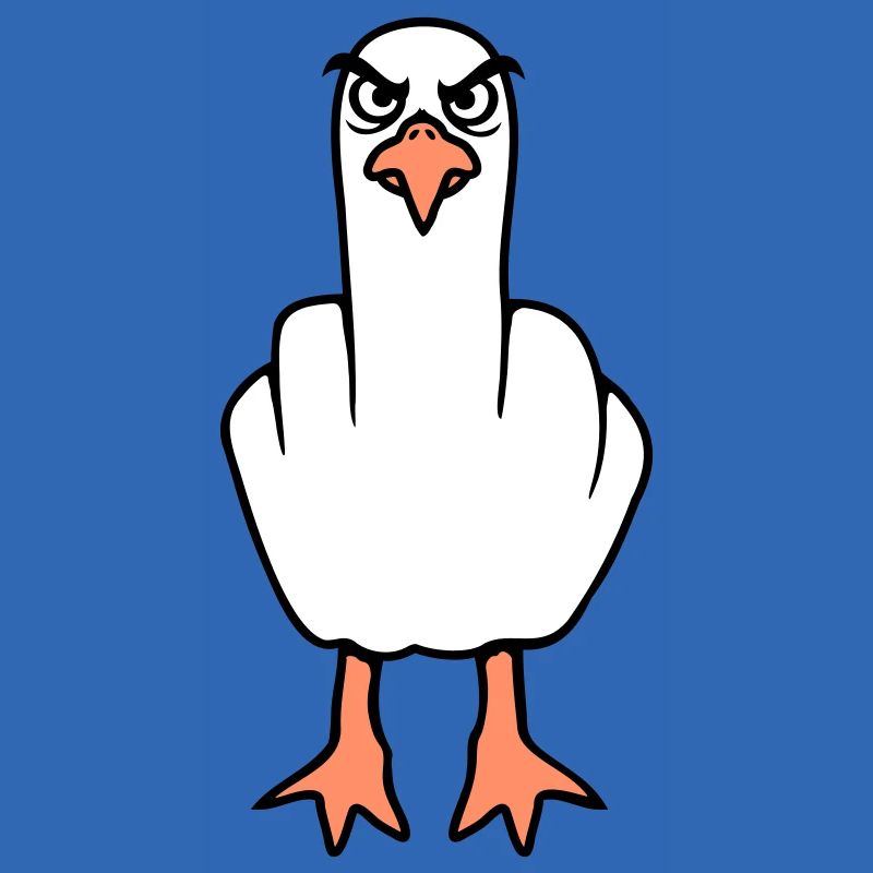 Möwe Mittelfinger Beleidigung Stinkefinger frech