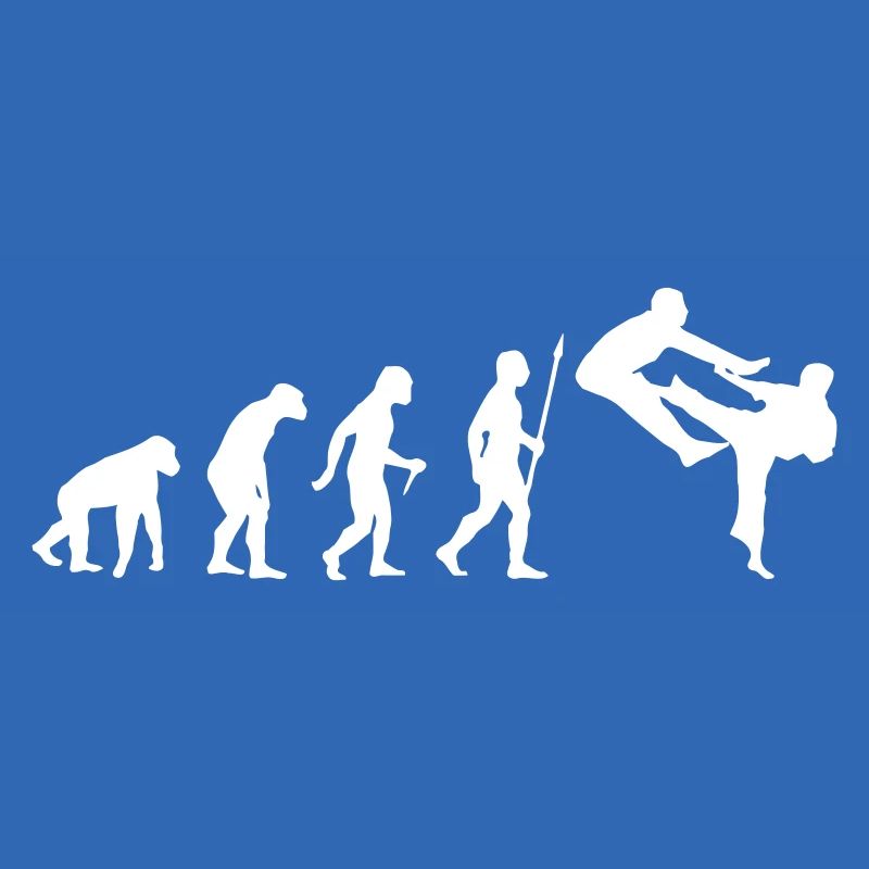 FUNNY KARATE EVOLUTION