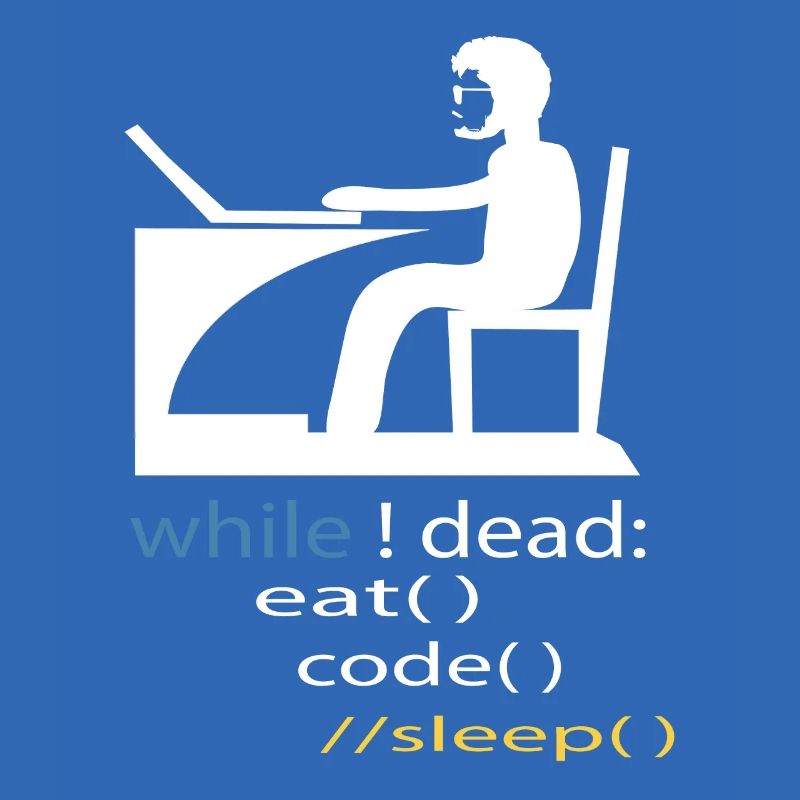Softwareentwickler Programmierer Geschenk