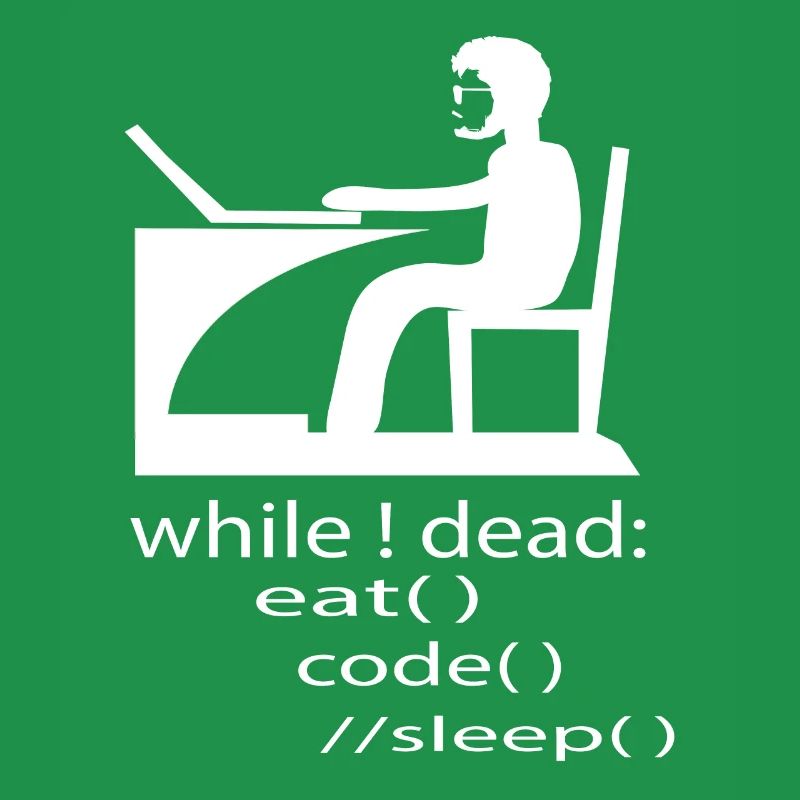 Softwareentwickler Programmierer Geschenk