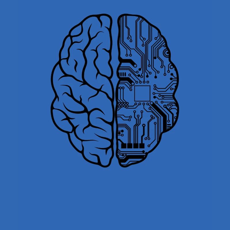 Programmeur Codeur - Développeur Programmation Brain Fun