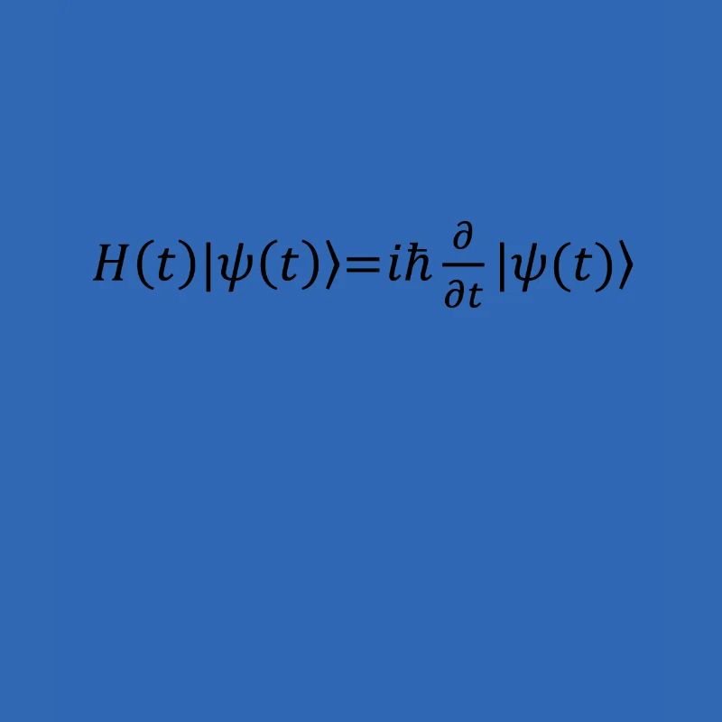 Schrödinger Equation Physicist Gift Physics