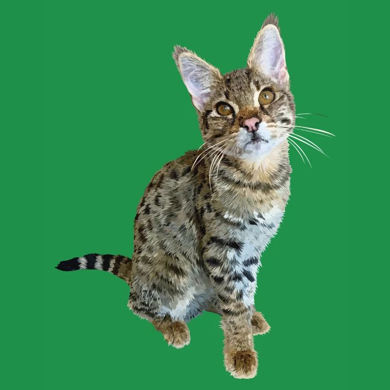 Tabby
