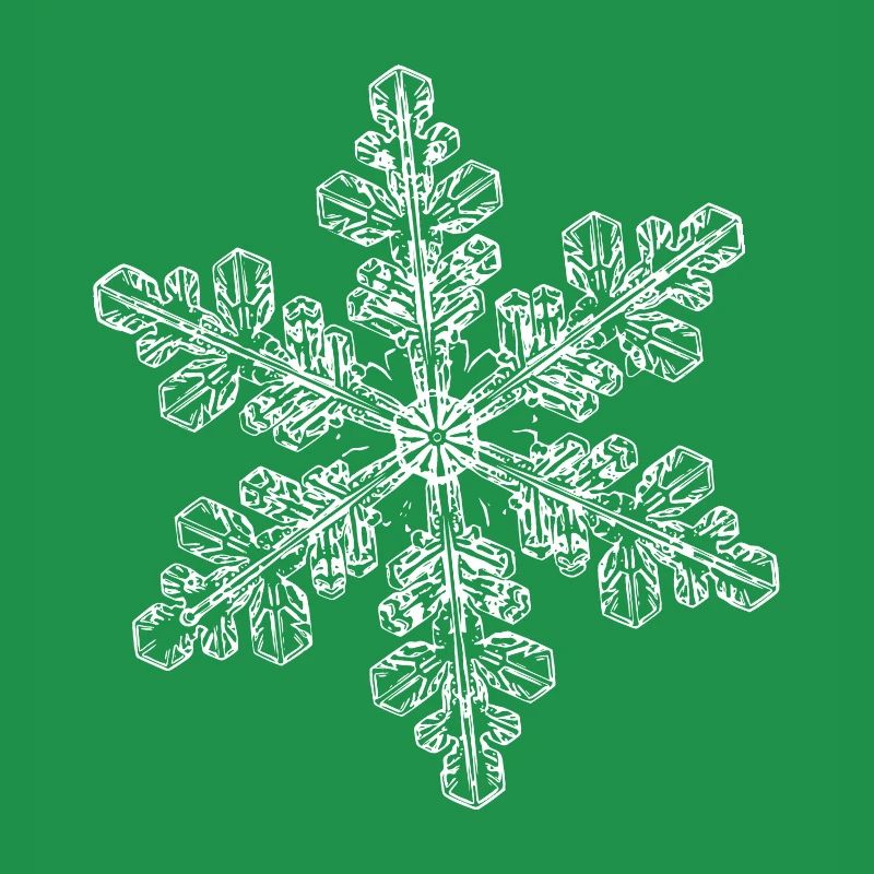 snowflake 6 white