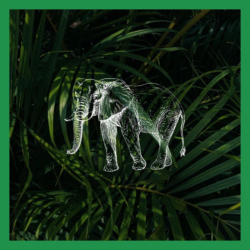 Conception d’éléphant