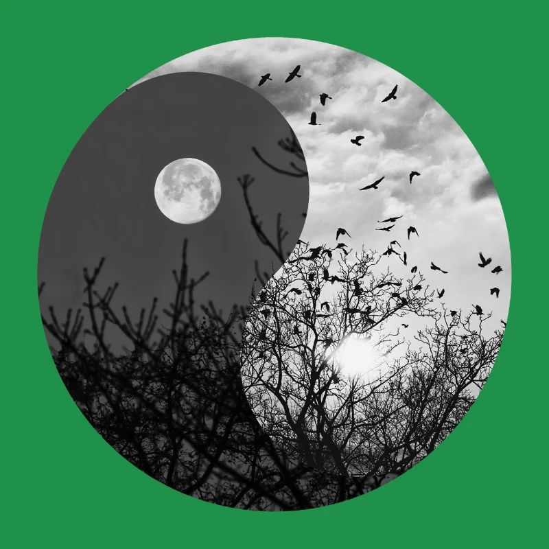 Yin e Yang della Luna e del Sole in bianco e nero